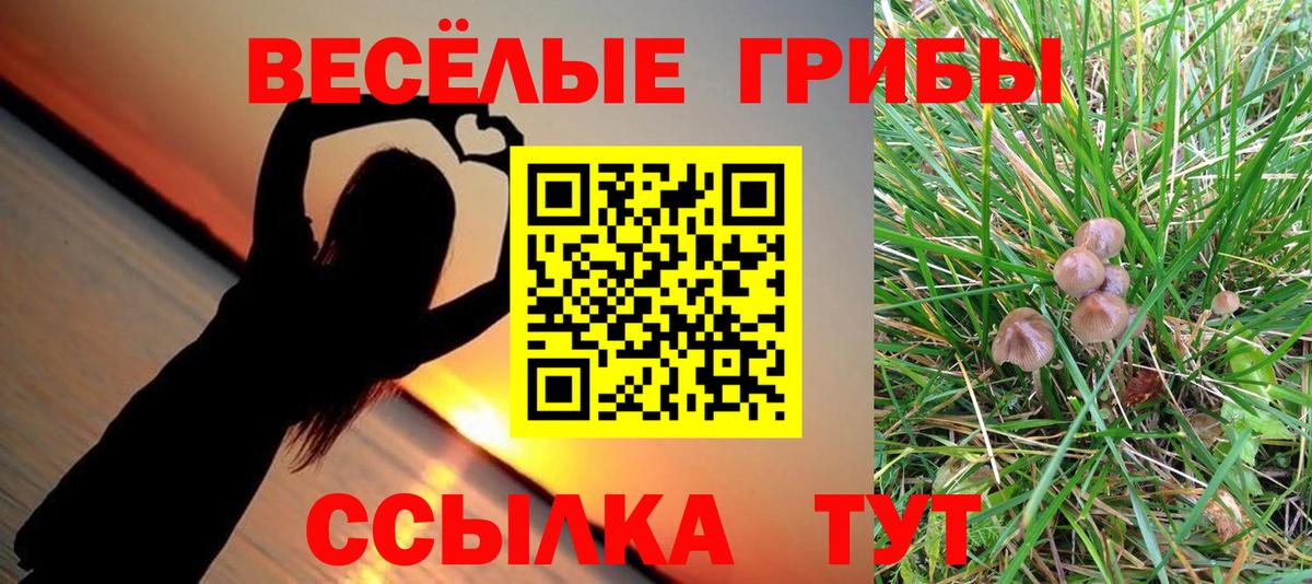 Псилоцибиновые грибы GOLDEN TEACHER  Вход с VPN  Сертолово 
